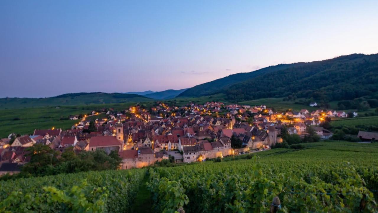 Chez Chris & Ju Apartman Biesheim Kültér fotó